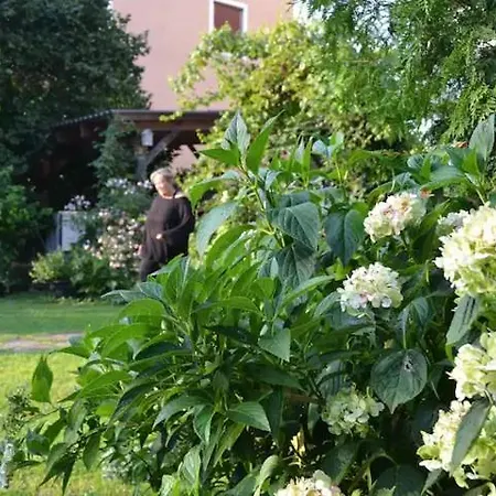 Charmante Altbauwohnung Im Shabby Chic Stil Mit Wintergarten Und Gartenblick - Ihr Perfektes Zuhause In גראץ